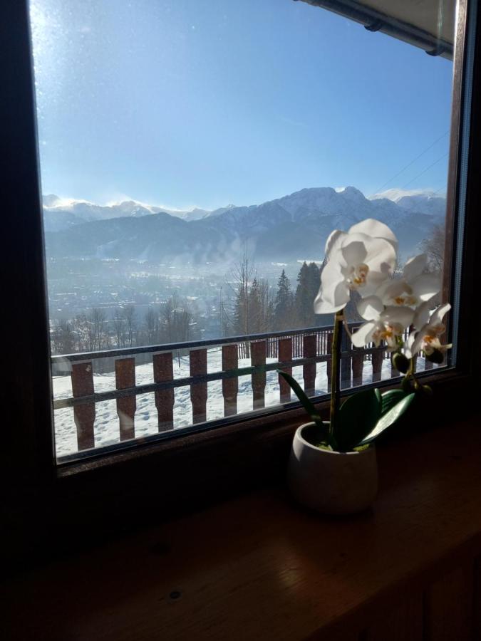 Niebianska Gran Apartment Zakopane Luaran gambar