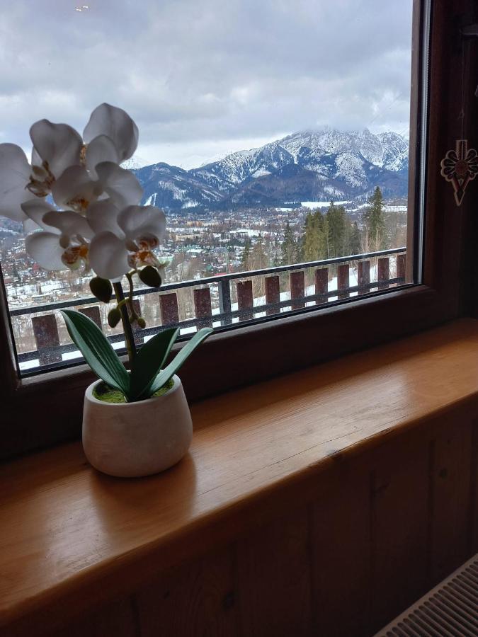 Niebianska Gran Apartment Zakopane Luaran gambar