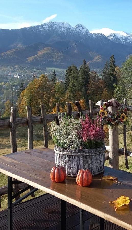 Niebianska Gran Apartment Zakopane Luaran gambar